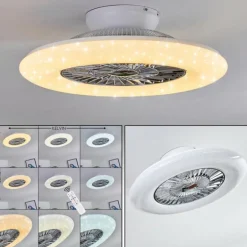 Ventilateur de plafond Petrovac LED Chrome, Blanc, 1 lumière, Télécommandes