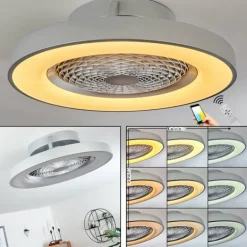 Ventilateur de plafond Penon LED Argenté, 1 lumière, Télécommandes