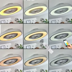 Ventilateur de plafond Penon LED Argenté, 1 lumière, Télécommandes