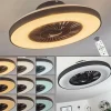 Ventilateur de plafond Qualiano LED Noir, Blanc, 1 lumière, Télécommandes
