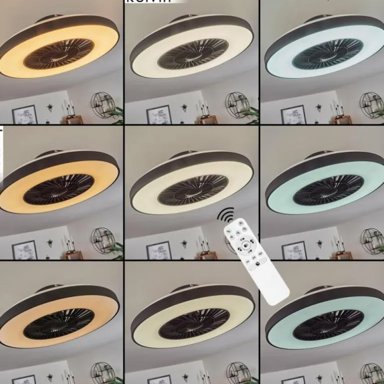 Ventilateur de plafond Qualiano LED Noir, Blanc, 1 lumière, Télécommandes