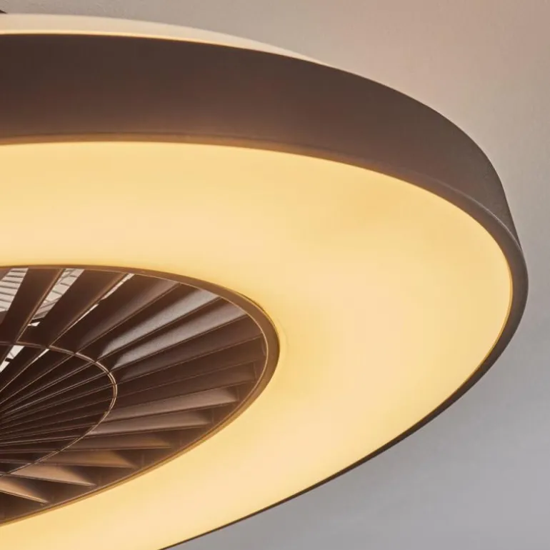 Ventilateur de plafond Qualiano LED Noir, Blanc, 1 lumière, Télécommandes