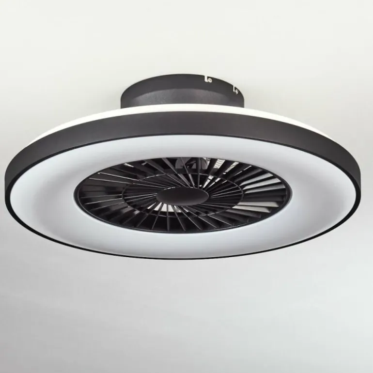 Ventilateur de plafond Qualiano LED Noir, Blanc, 1 lumière, Télécommandes