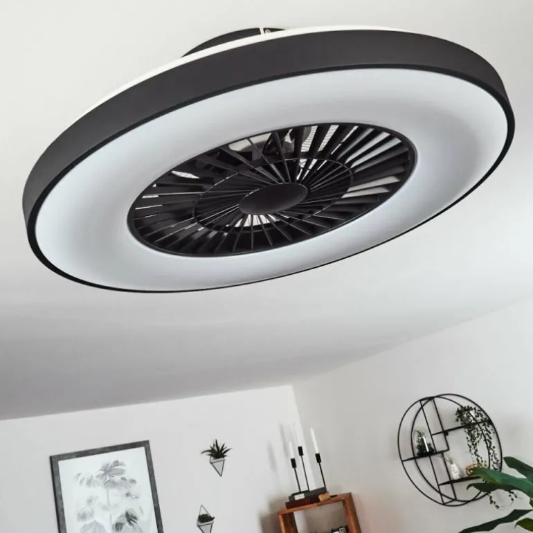 Ventilateur de plafond Qualiano LED Noir, Blanc, 1 lumière, Télécommandes