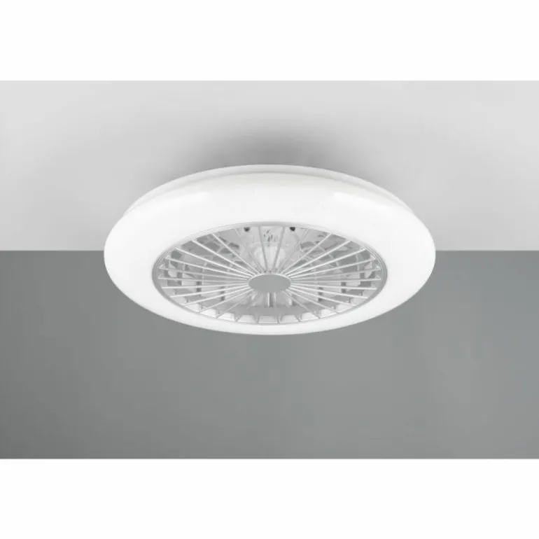 Ventilateur de plafond Reality Stralsund LED Titane, 2 lumières, Télécommandes