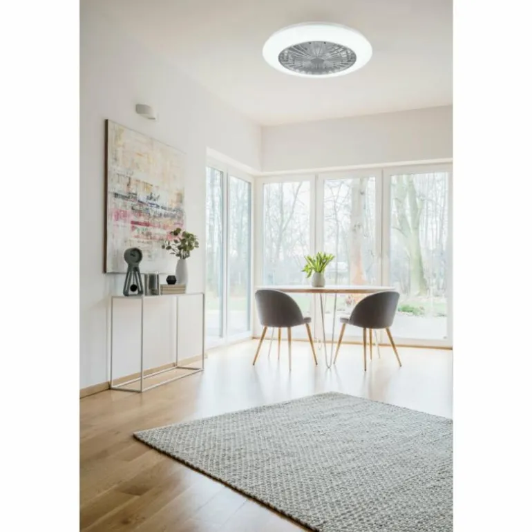 Ventilateur de plafond Reality Stralsund LED Titane, 2 lumières, Télécommandes