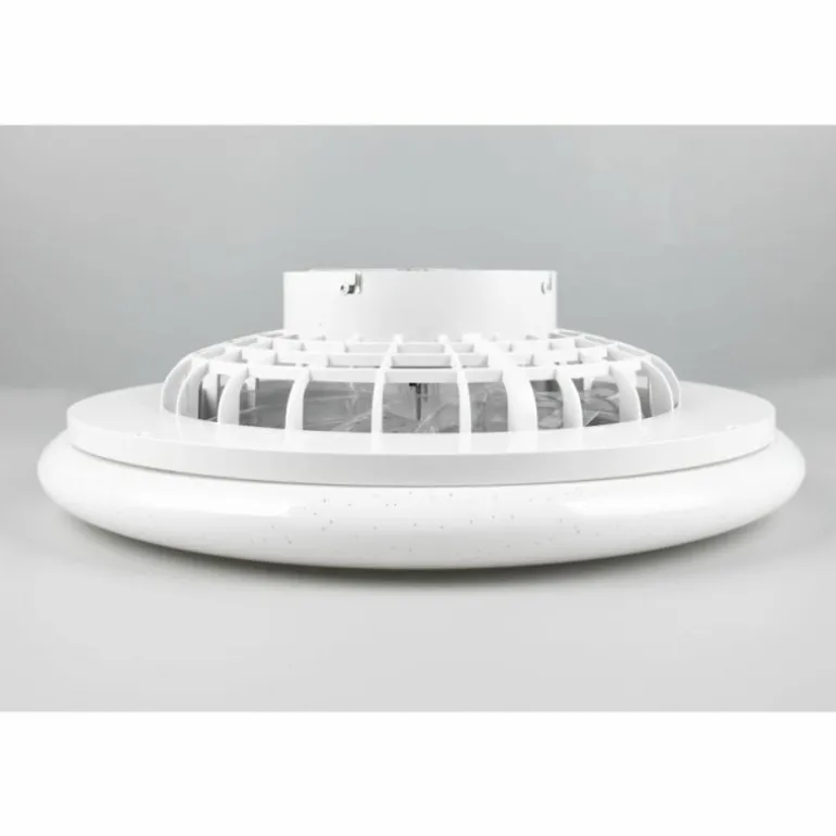 Ventilateur de plafond Reality Stralsund LED Titane, 2 lumières, Télécommandes