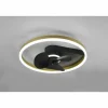 Ventilateur de plafond Reality Borgholm LED Or, Noir, 1 lumière, Télécommandes