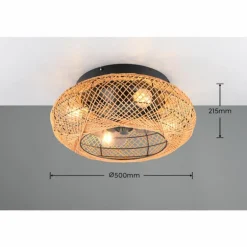 Ventilateur de plafond Reality LILLESAND Noir, 4 lumières, Télécommandes