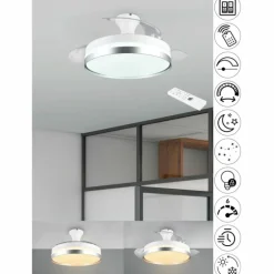 Ventilateur de plafond Reality LINDBERG LED Titane, 1 lumière, Télécommandes