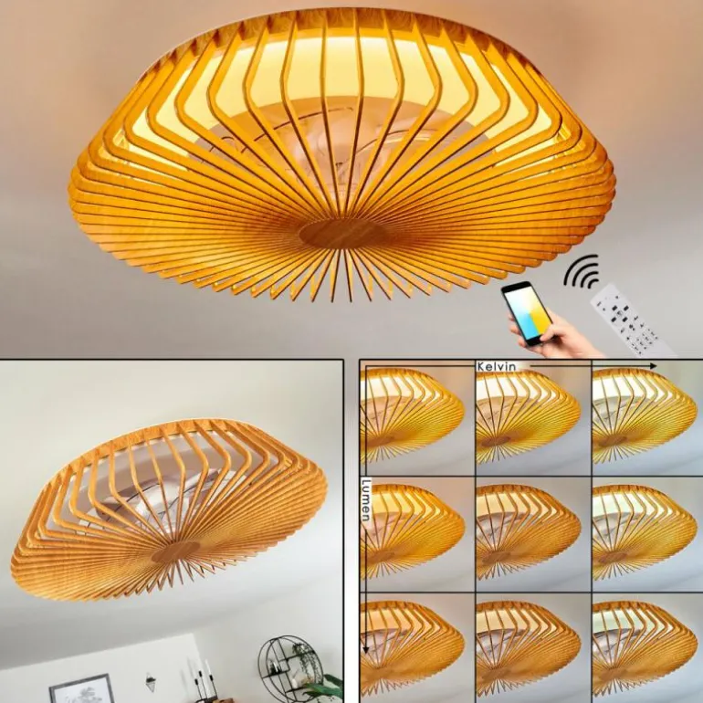 Ventilateur de plafond Rivarotta LED Blanc, 1 lumière, Télécommandes