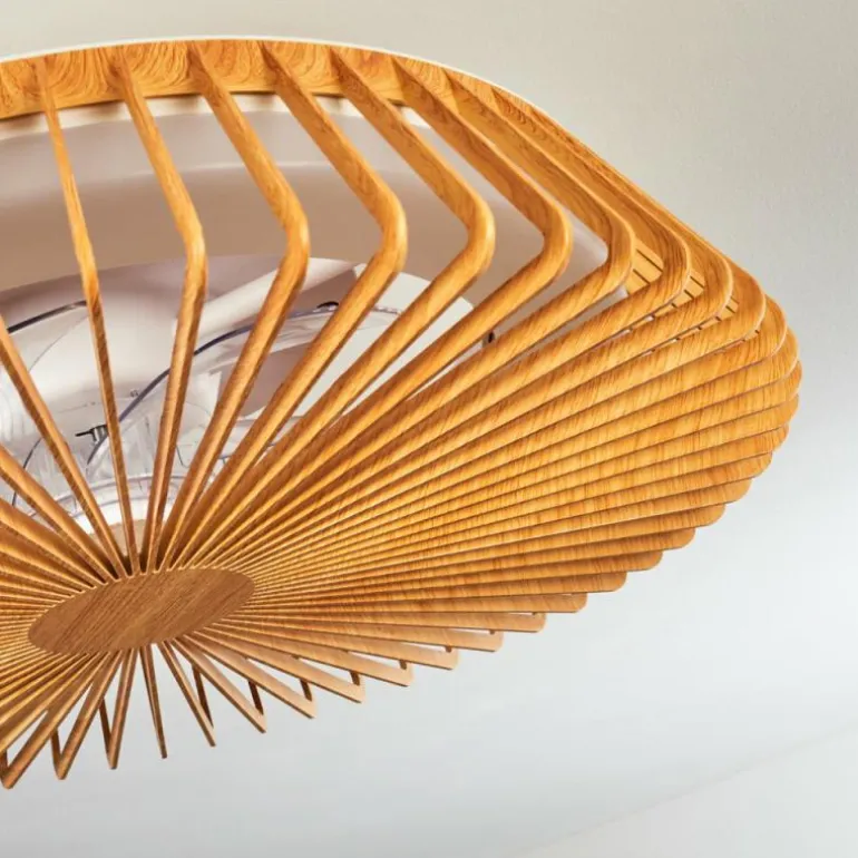 Ventilateur de plafond Rivarotta LED Blanc, 1 lumière, Télécommandes