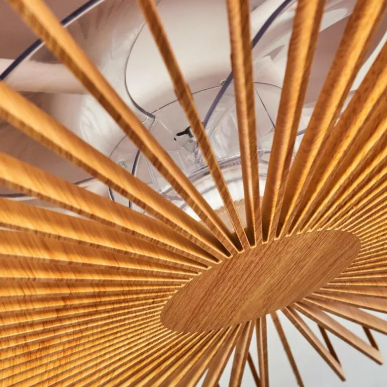 Ventilateur de plafond Rivarotta LED Blanc, 1 lumière, Télécommandes