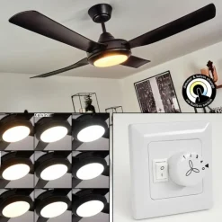 Ventilateur de plafond Tjerne LED Noir, 1 lumière