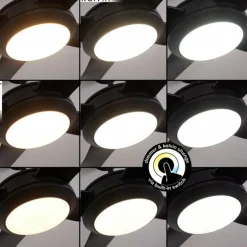 Ventilateur de plafond Tjerne LED Noir, 1 lumière, Télécommandes