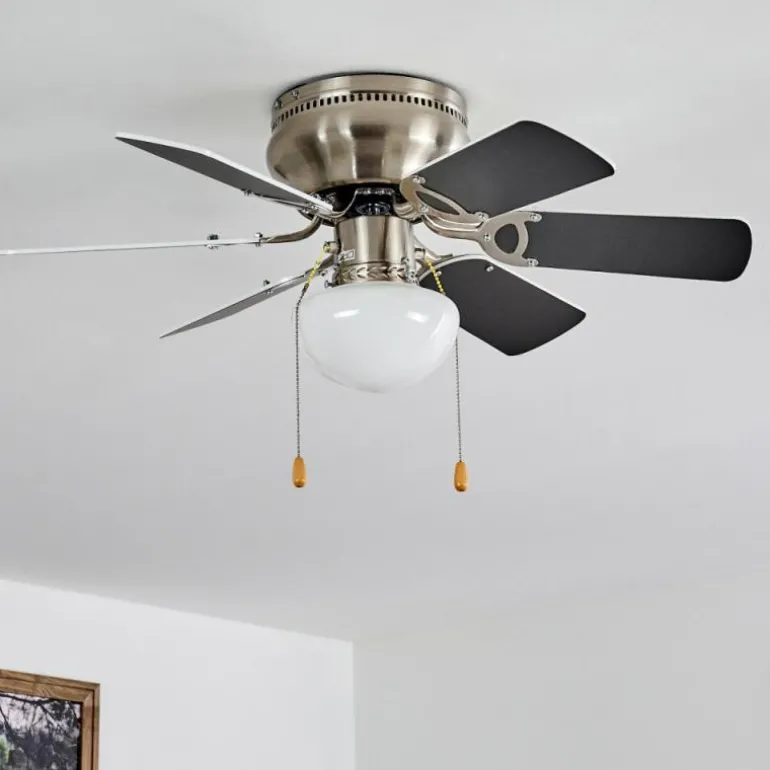 Ventilateur de plafond Trillo Gris, Nickel mat, Blanc, 1 lumière
