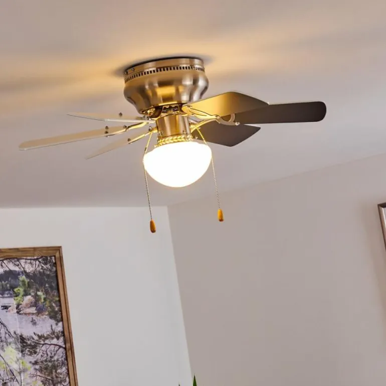 Ventilateur de plafond Trillo Gris, Nickel mat, Blanc, 1 lumière