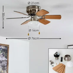 Ventilateur de plafond Trillo Nickel mat, 1 lumière