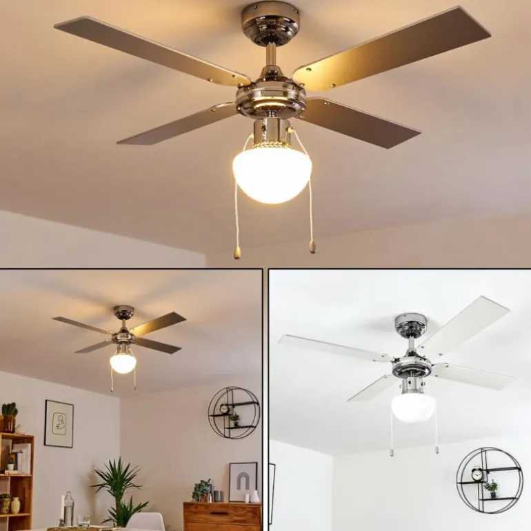 Ventilateur de plafond Valletta Chrome, Argenté, Blanc, 1 lumière