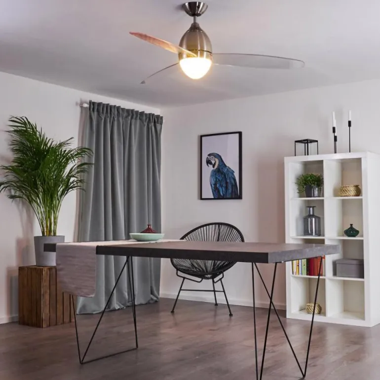 Ventilateur de plafond Varazze Nickel mat, Transparent, 1 lumière, Télécommandes