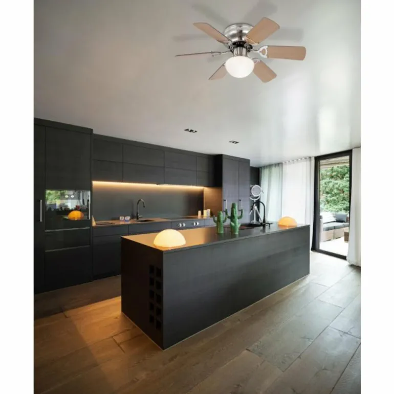 Ventilateur Globo UGO Acier inoxydable, Nickel mat, 1 lumière