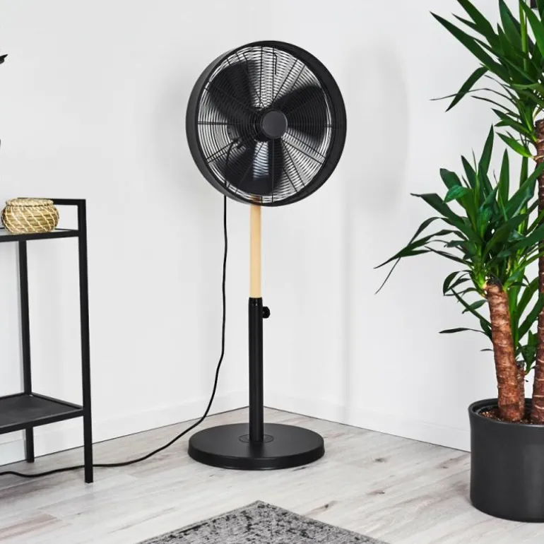 Ventilateur Markham Bois clair, Noir