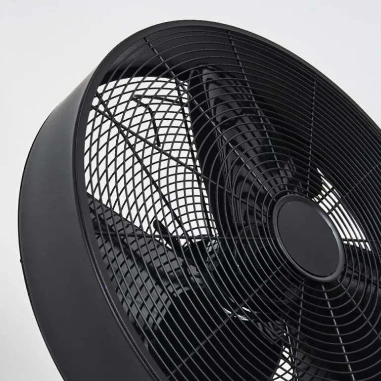 Ventilateur Markham Bois clair, Noir