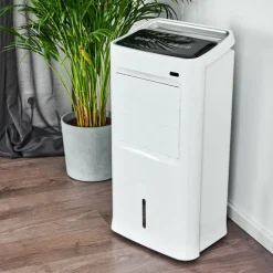 Ventilateur Scottsdale Blanc, Télécommandes