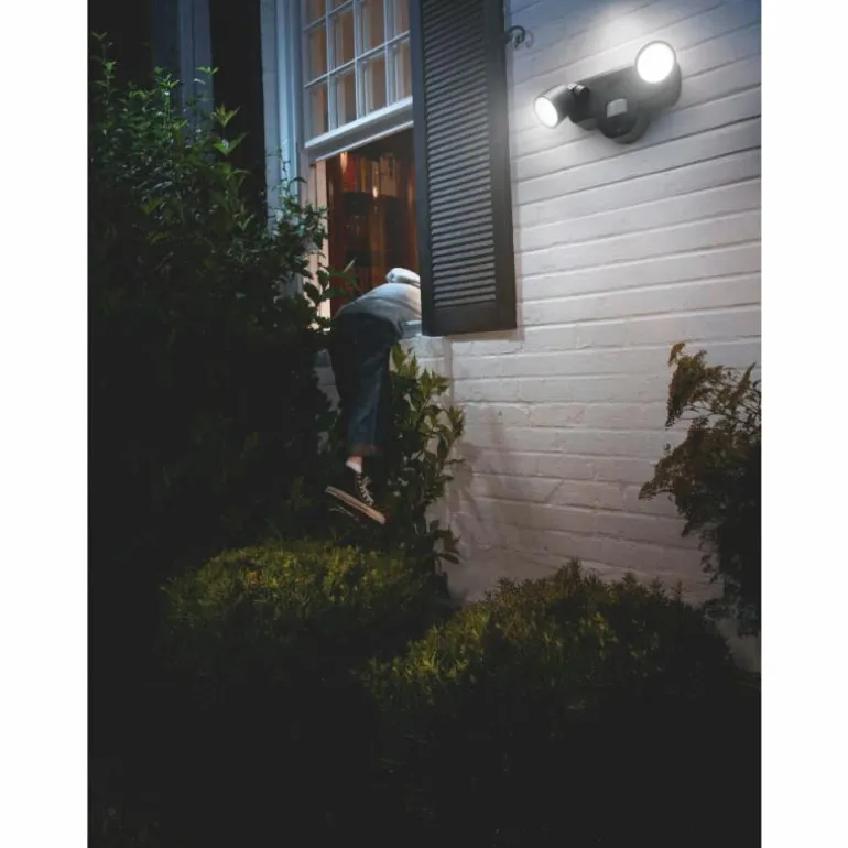 WIF Lampe murale d´extérieur Luminaires Ledvance LED Gris, 1 lumière