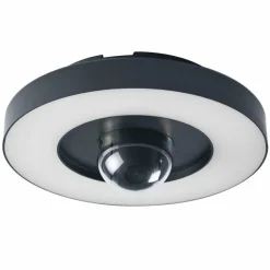 WIF Lampe murale d´extérieur Luminaires Ledvance LED Gris, 1 lumière
