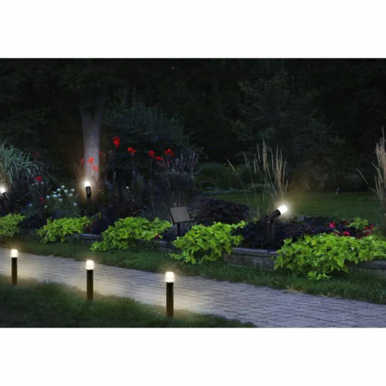 WIF Lampe murale d´extérieur Luminaires Ledvance LED Noir, 1 lumière, Détecteur de mouvement, Changeur de couleurs